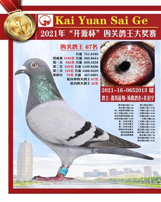 开源寄养棚78名（己拍卖）