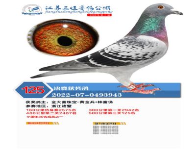 江苏正恒赛鸽公棚