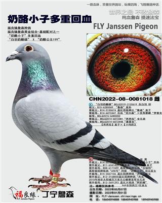 奶酪小子多重回血