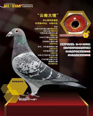 北京惠翔大棚收费站亚军、决赛45名