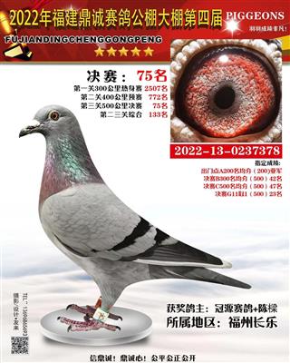 鼎诚公棚75名