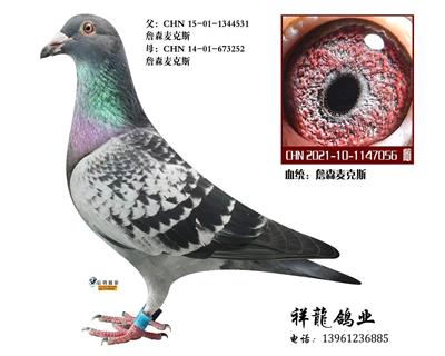 詹森麦克斯81直孙女