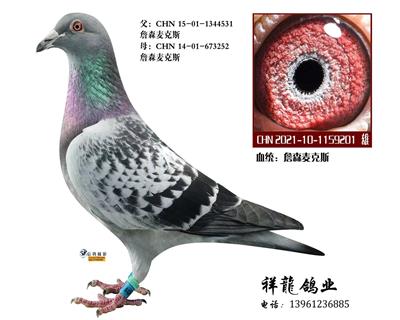 詹森麦克斯81直孙