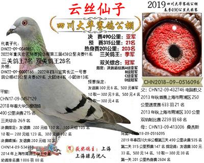 骠马6096