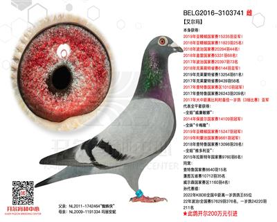 【艾尔玛】“卡梅隆全姐妹”