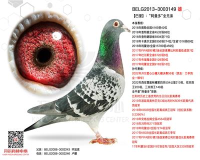 阿曼多亲兄弟—【巴里】