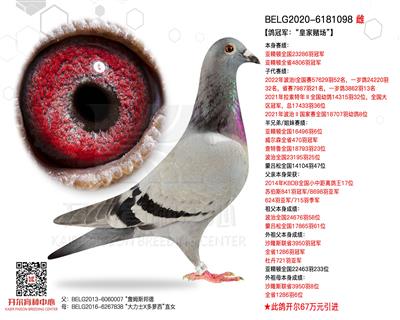 亚精顿冠军：“皇家赌场”