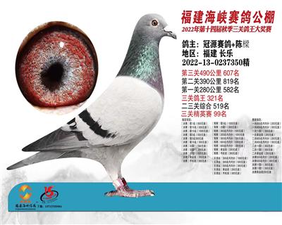 小屌丝