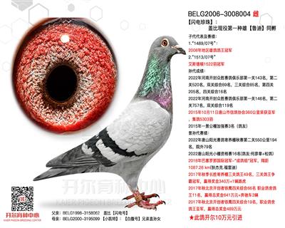 【闪电珍珠】：现役第一种雄【鲁迪】同孵！