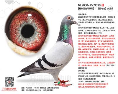 【杨欧瓦克零缺陷】：【掠夺者】亲兄弟