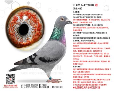 【晚生灰雌】：【至尊双雄】亲兄弟直孙女