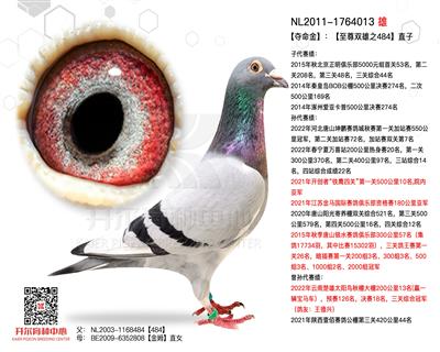 【夺命金】：【至尊双雄之484】直子！