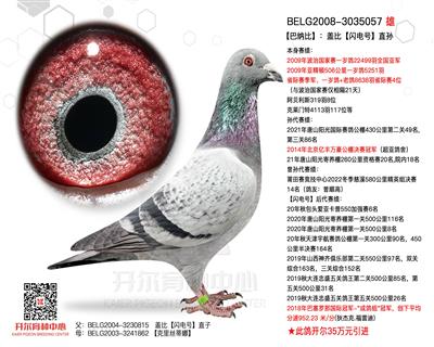 【巴纳比】：盖比【闪电号】直孙