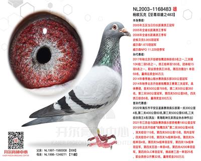 杨欧瓦克【至尊双雄之483】