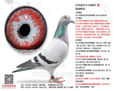 【超速时分】全姐妹—【超速精灵】