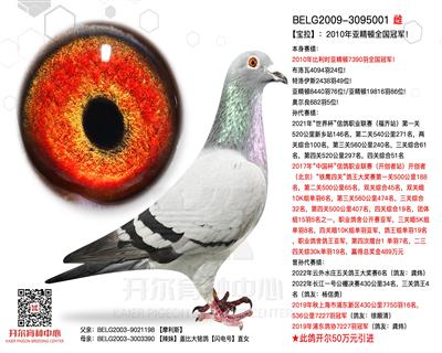 【宝拉】：2010年亚精顿全国冠军！