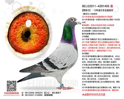 【费舍尔】：13年波尔多全国冠军！