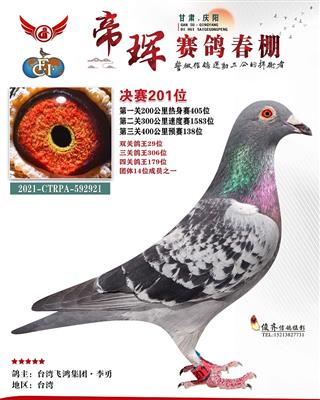 2022年甘肃帝晖双关鸽王29名
