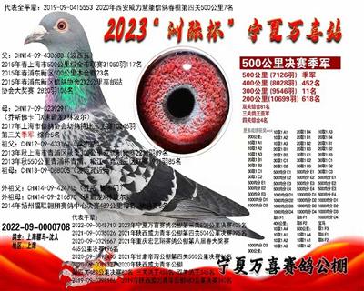 骠马0708