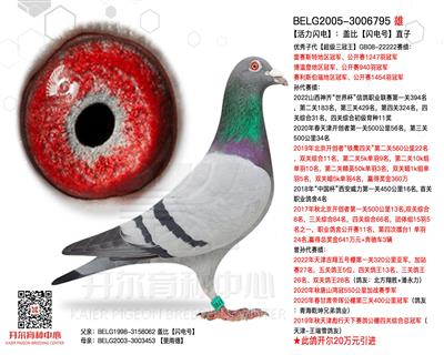 【活力闪电】：盖比【闪电号】直子