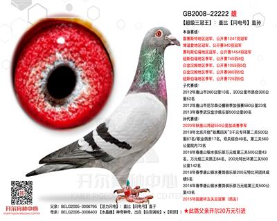 【超级三冠王】：盖比【闪电号】直孙