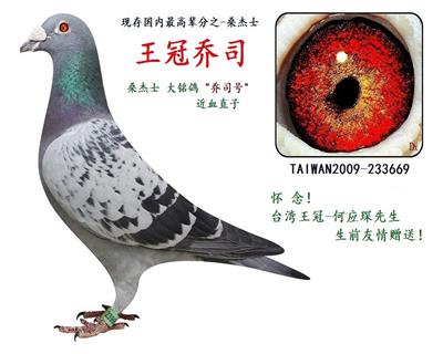 王冠乔司