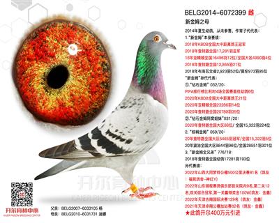 【新金姆】之母