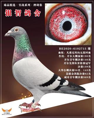 凡戴克作育使翔