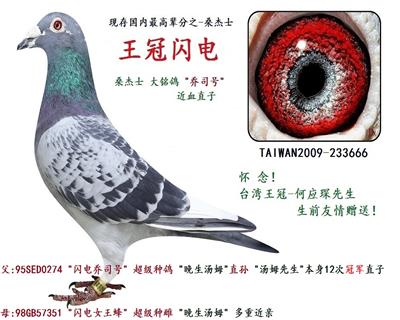 王冠闪电