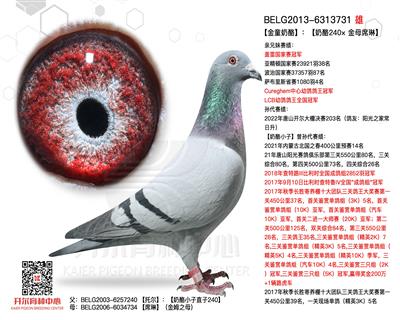 【金童奶酪】：【奶酪240×金母席琳】