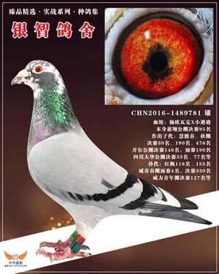 杨.欧瓦克，仅供欣赏