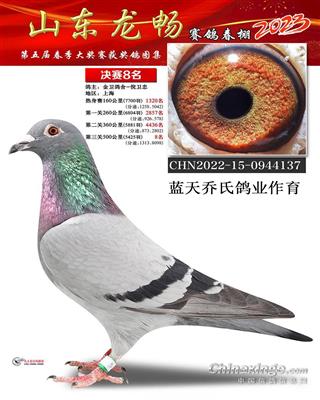 龙畅公棚决赛8名