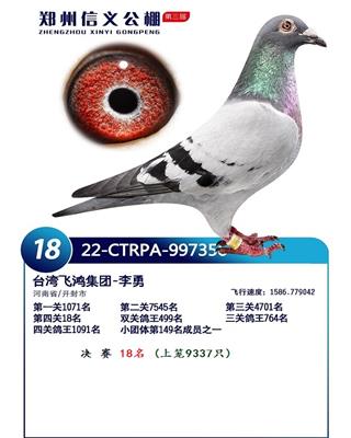 2023年 河南信义公棚18名