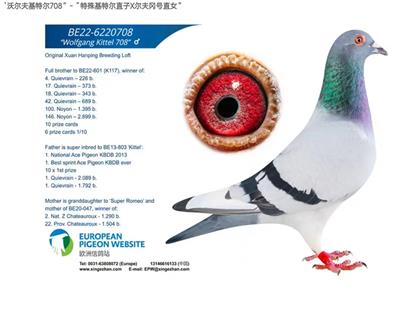 “利奥003”多重近亲