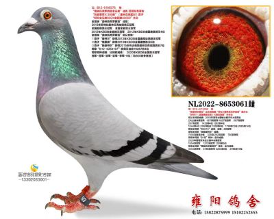 奥林匹克罗西塔全兄弟直女