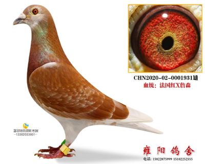 甘肃帝辉加站赛415名