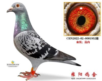 久盟预赛65加站赛324