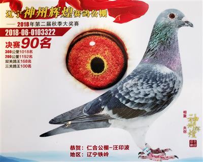 神州辉煌公棚决赛90位