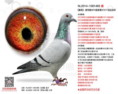 【雅苒】查特路NPO国家赛总冠军