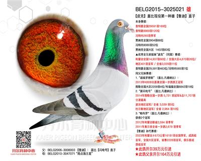 【皮克】盖比现役第一种雄【鲁迪】直子