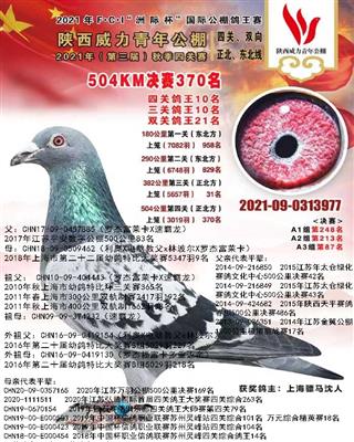 骠马3977