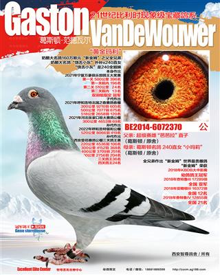 新金姆之父全兄弟