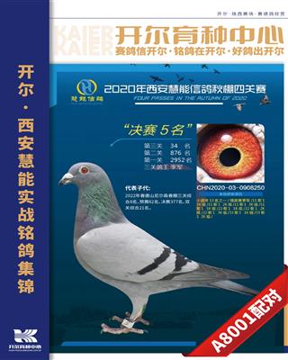 20年秋西安慧能精英赛季军