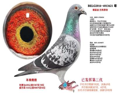 范希·弗雷迪原舍