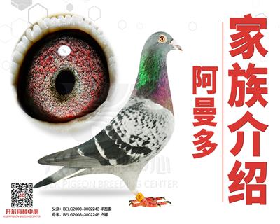 阿曼多家族简介