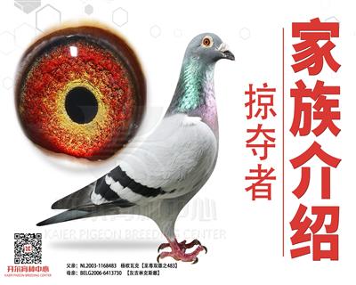 杨.欧瓦克家族简介