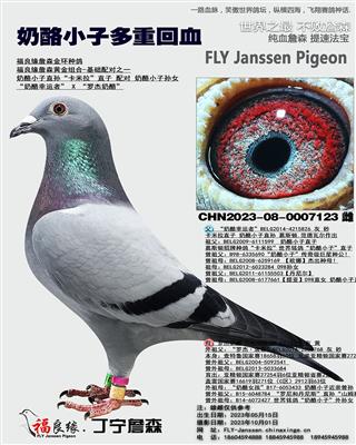 奶酪小子直孙卡米拉直子*奶酪小子孙女