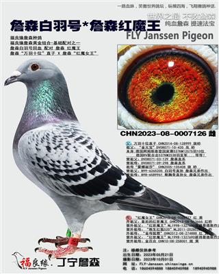 詹森白羽号*詹森红魔王