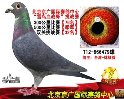 势山黑金一公棚季军