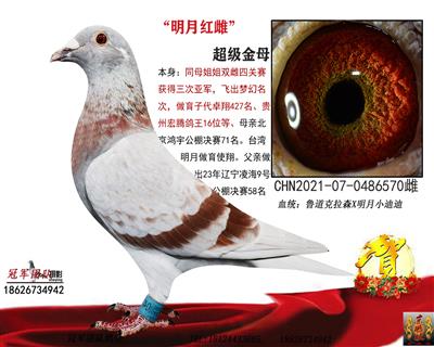 鲁道红雌（季军母亲）